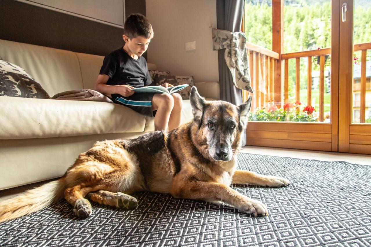 Alta Luce Mountain Lodge Gressoney-la-Trinité Eksteriør bilde